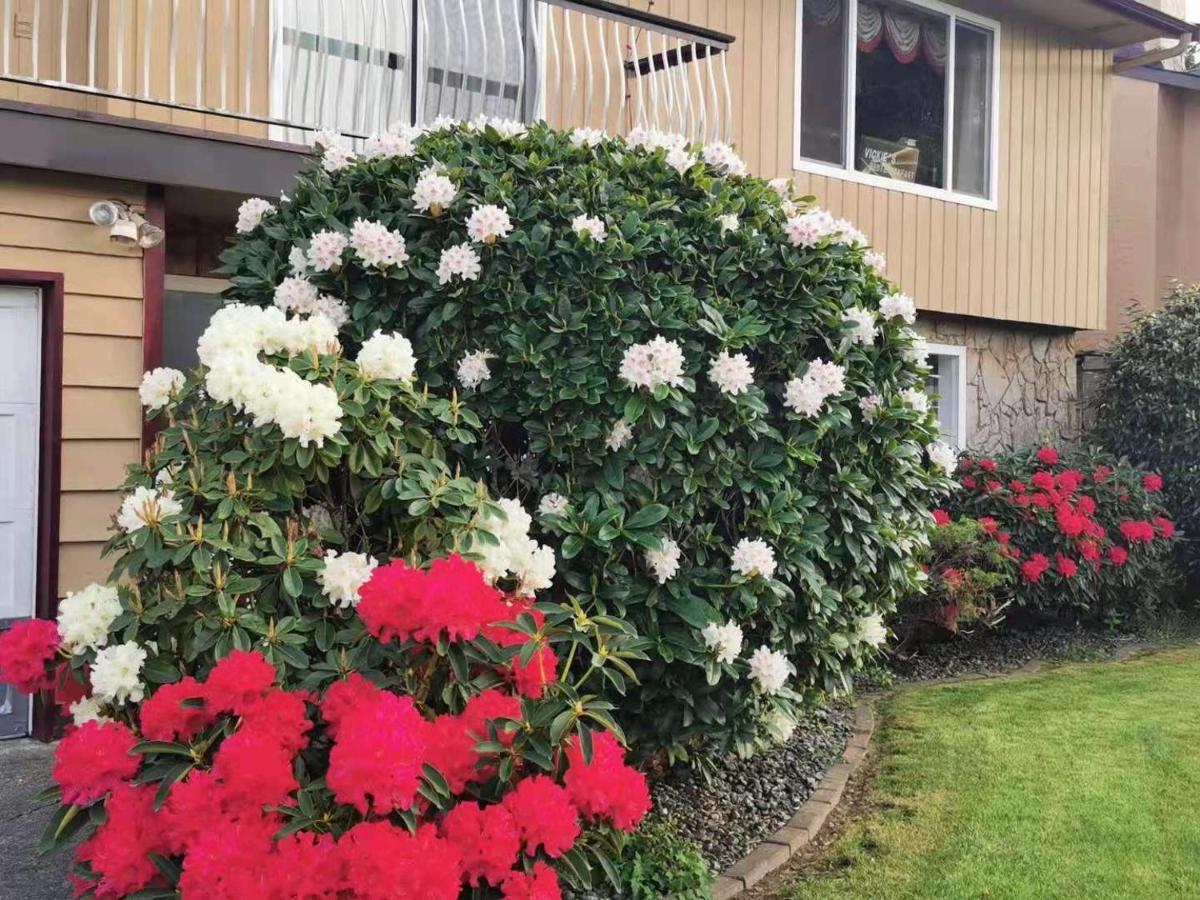 Richmond Vancouver Airport Comfy Home Bagian luar foto